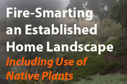 Marin Master Gardeners Webinar about Firesmart Landscaping Existing Home Landscapes with Native Plants 